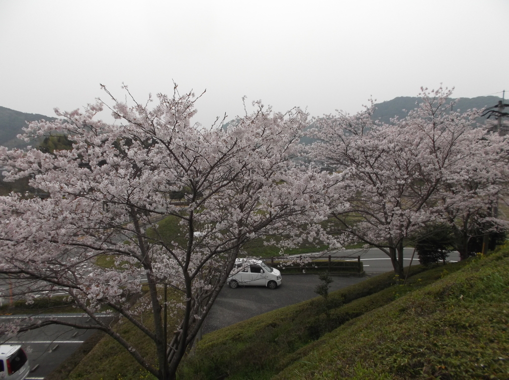 DSCF6479