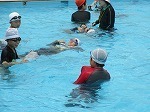 IMG_2914