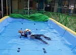 20150626_102026