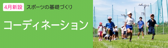 p-コーディネーション