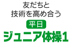 友だちと技術を高め合う　ジュニア体操1（平日）