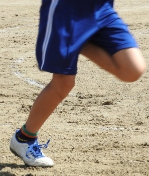 hashiru