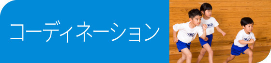 コーディネーション