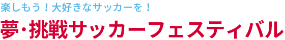 夢・挑戦サッカーフェスティバル