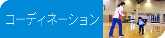 コーディネーション