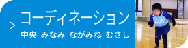 コーディネーション