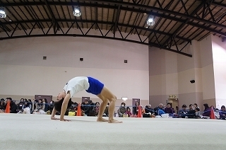 pic3