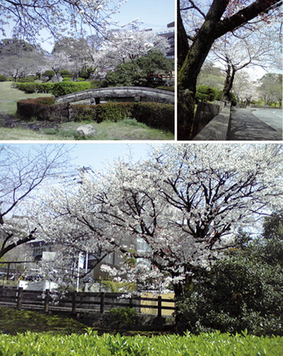 2013031906