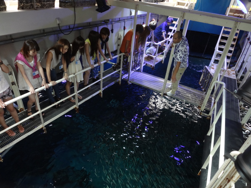 移動水族館