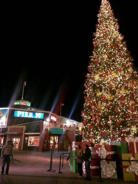 img20131211_203814.jpg