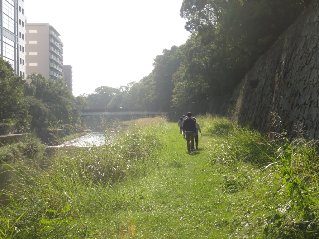 坪井川