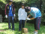 まき割り