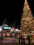 img20131211_203814.jpg