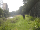 坪井川