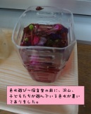 色水