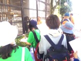 餌やり
