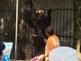 餌やり